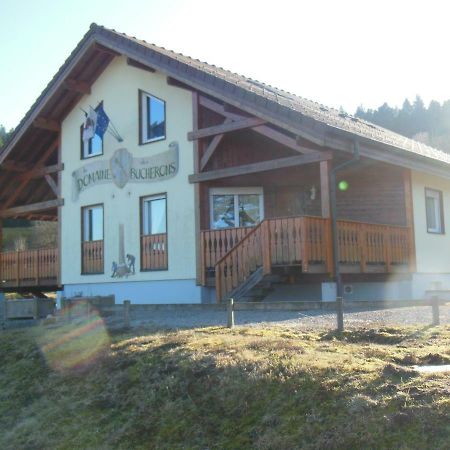 Chalet Du Bucheron Leilighet Gérardmer Eksteriør bilde