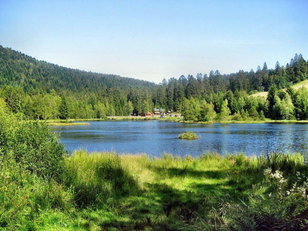 Chalet Du Bucheron Leilighet Gérardmer Eksteriør bilde